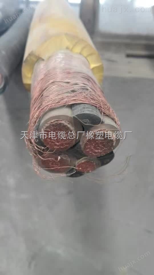 分支电缆,分叉橡套电缆的*天津橡塑电缆