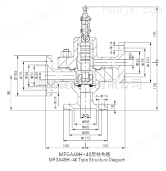 MFA49Y-P54 14V 弹簧脉冲式安全阀（W）