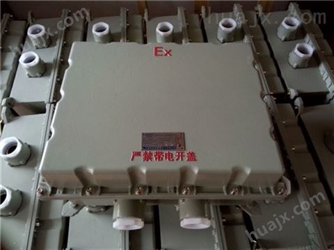 BJX8030-20/8防爆防腐接线箱