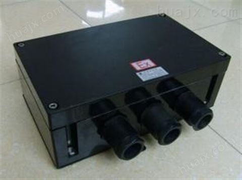 BJX8050防爆接线箱