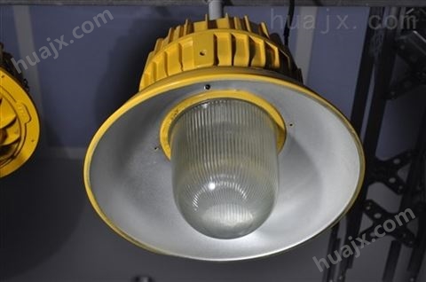 BLD190-20W圆形LED防爆灯（IIC）