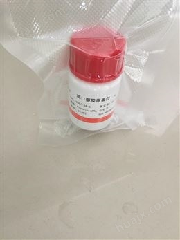 人参皂苷CK标准品,39262-14-1价格