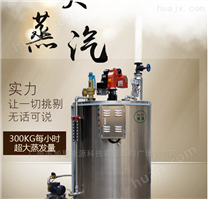 旭恩厂家产品300公斤燃油蒸汽发生器锅炉