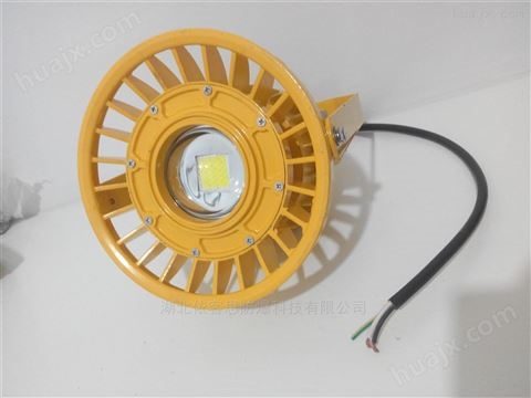 BLD63集成式防爆免维护LED节能灯生产厂家
