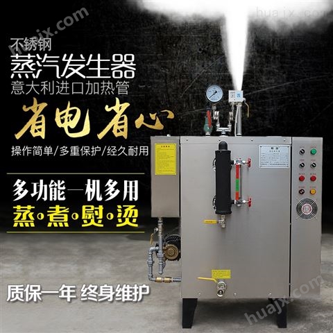 电加热蒸汽发生器